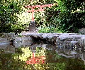 Japangarten: Wissenswertes vom Experten